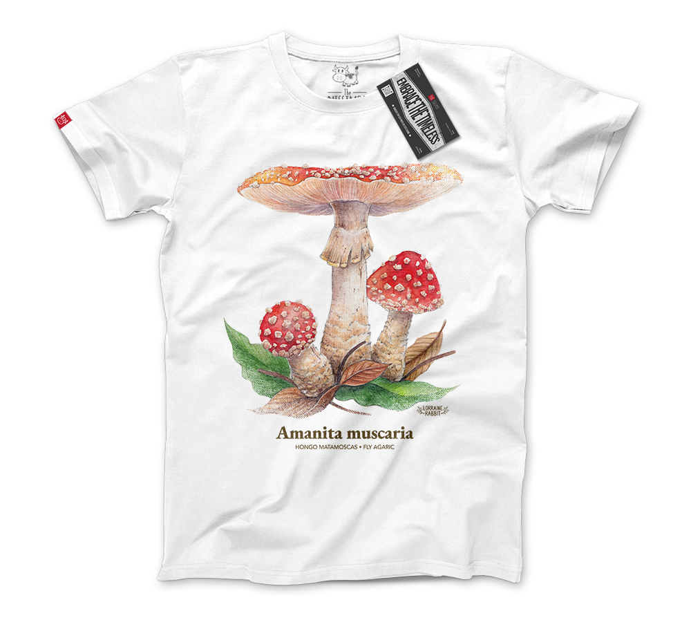 LORRAINE RABBIT - Hongo Amanita Muscaria