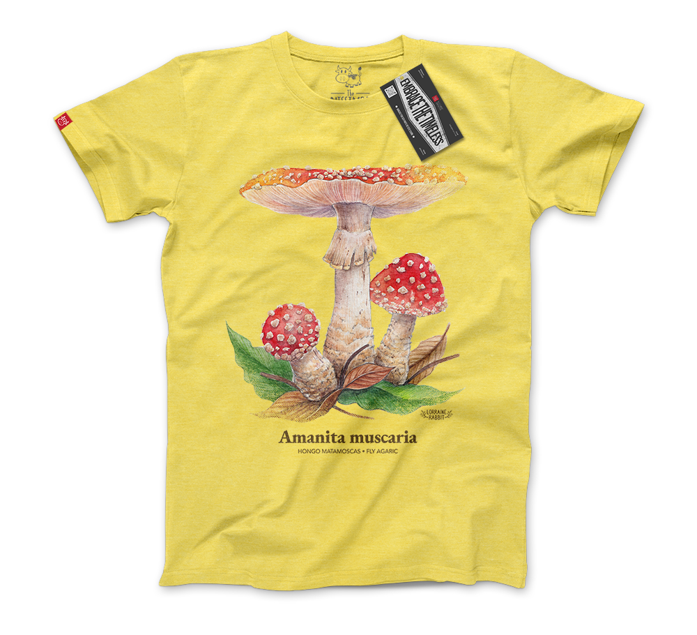 LORRAINE RABBIT - Hongo Amanita Muscaria