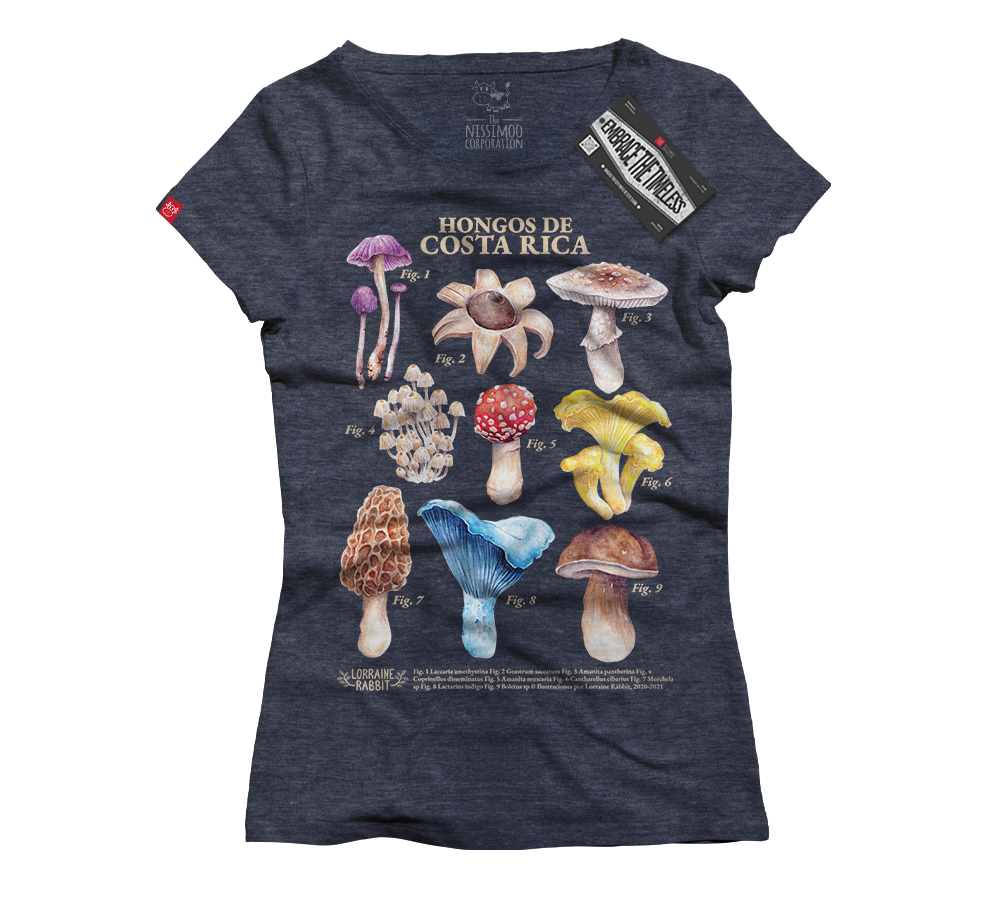 LORRAINE RABBIT - Hongos de Costa Rica