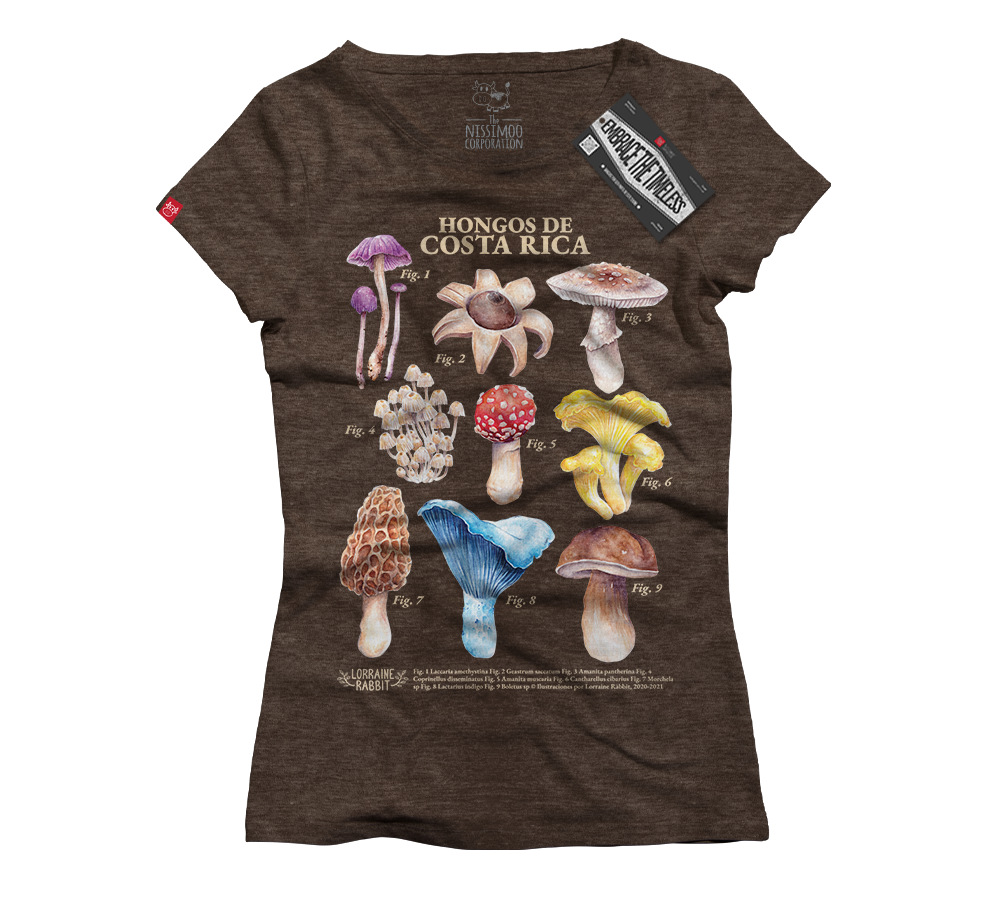 LORRAINE RABBIT - Hongos de Costa Rica