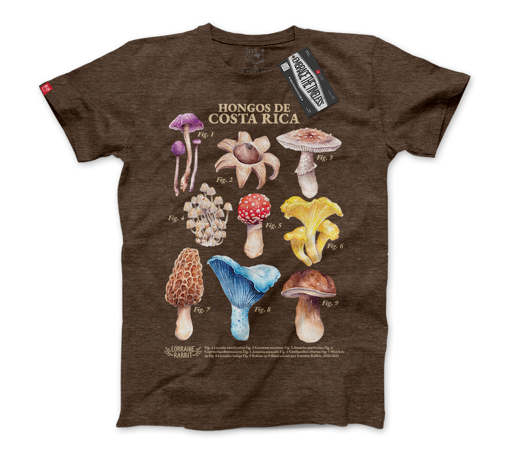 LORRAINE RABBIT - Hongos de Costa Rica