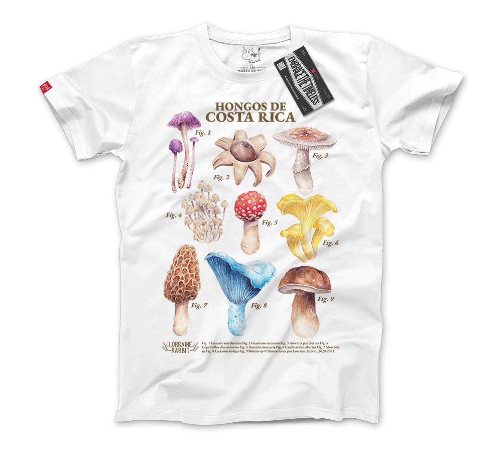 LORRAINE RABBIT - Hongos de Costa Rica