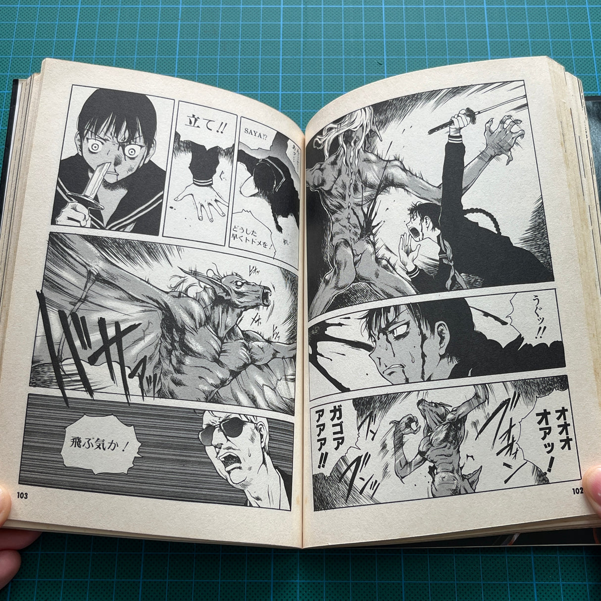 Blood - The Last Vampire 2000 | Libro