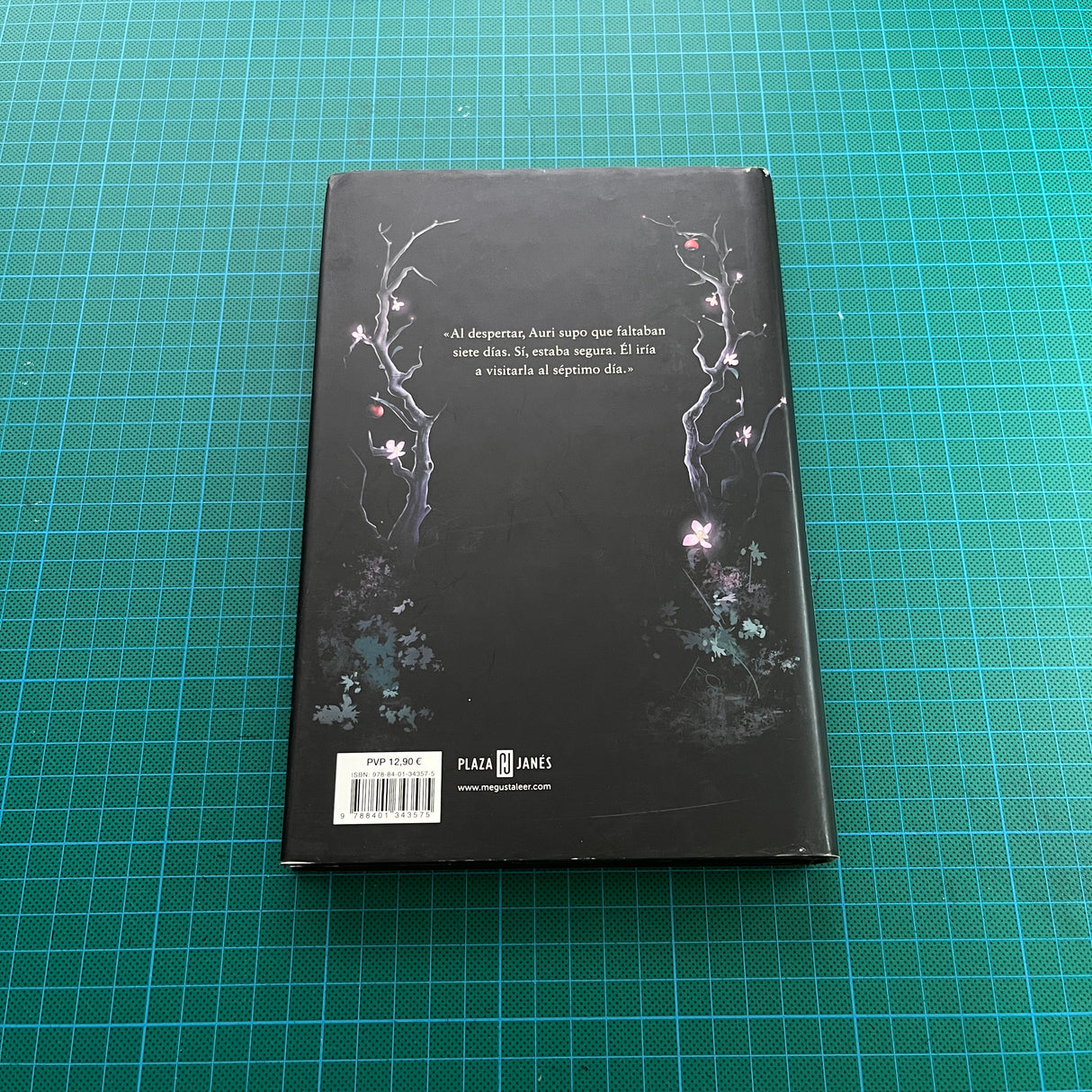 Patrick Rothfuss - La música del Silencio | Libro
