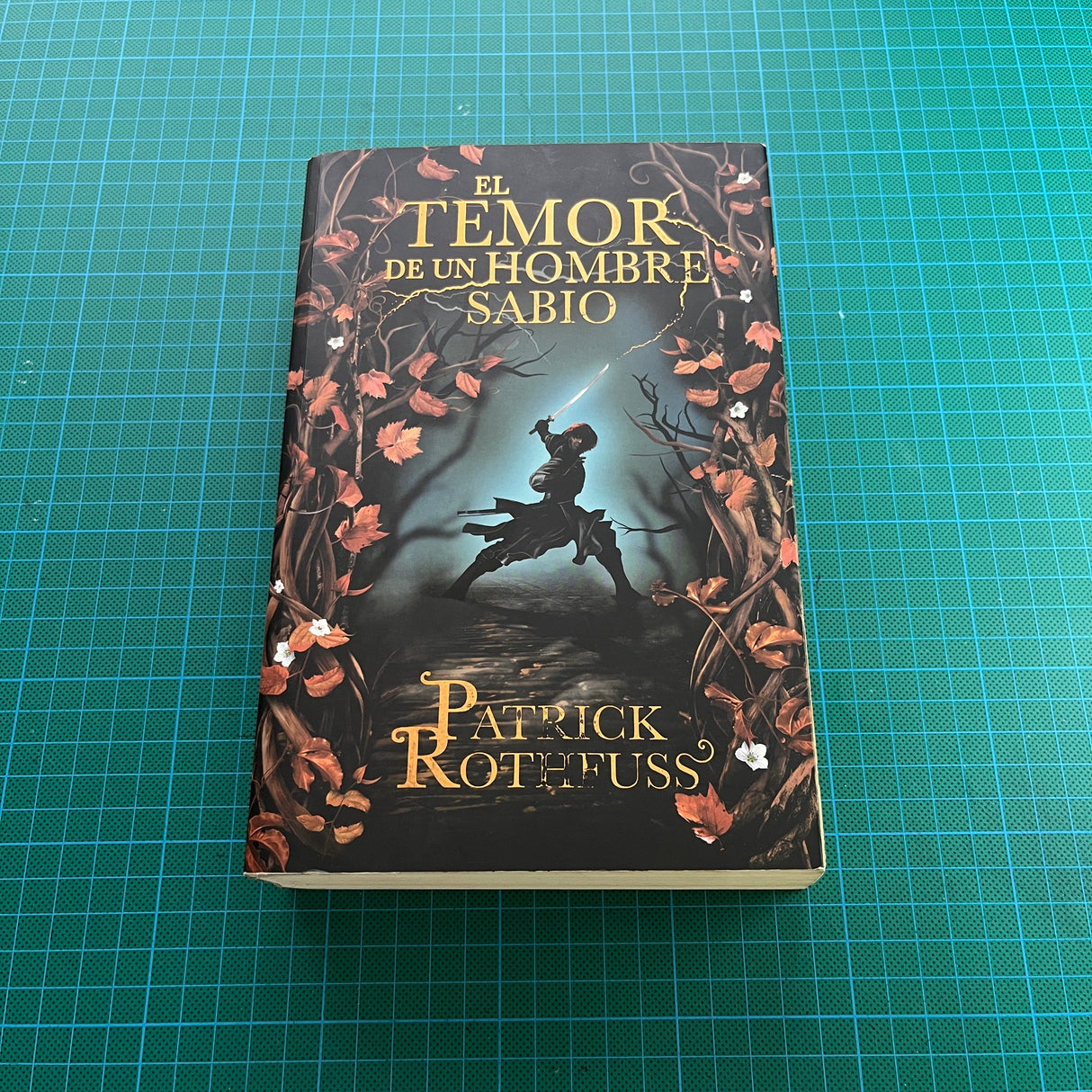 Patrick Rothfuss - El Temor de un Hombre Sabio | Libro