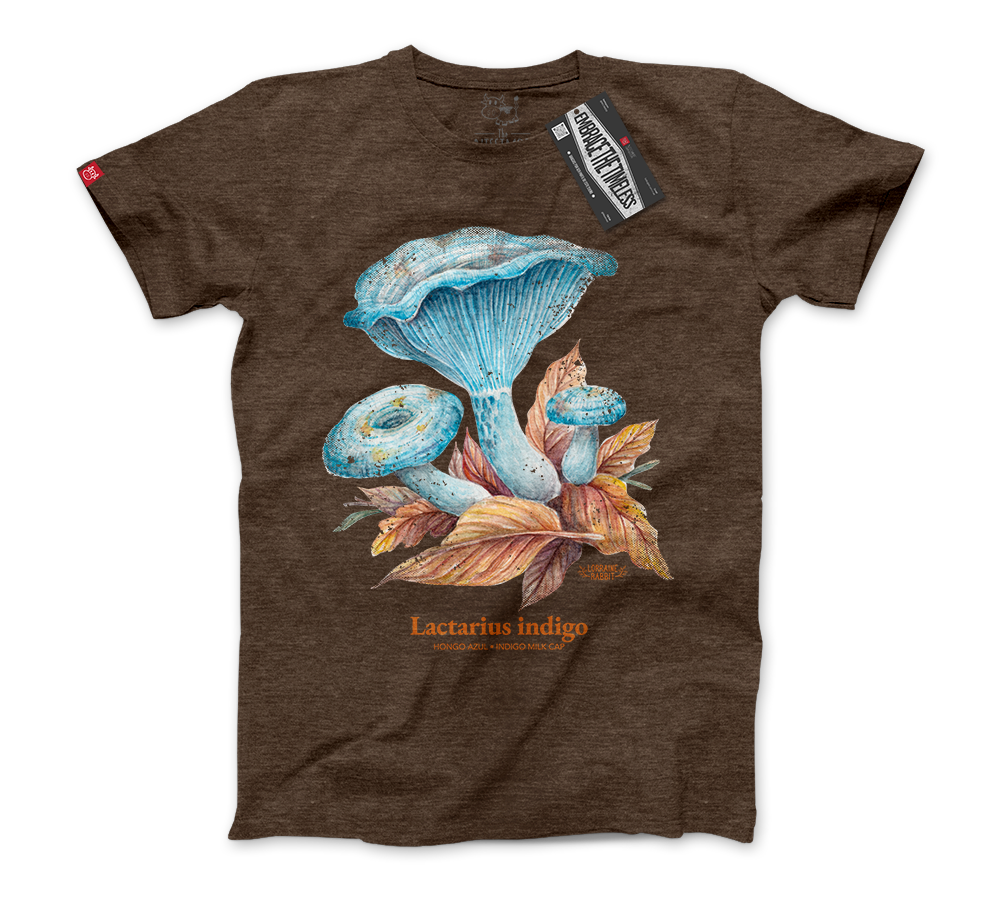 LORRAINE RABBIT - Hongo Lactarius Indigo