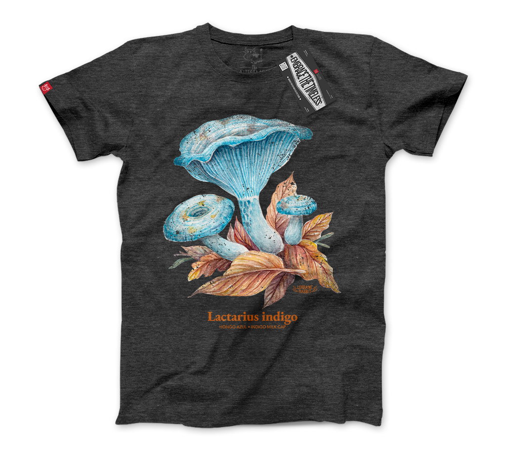 LORRAINE RABBIT - Hongo Lactarius Indigo