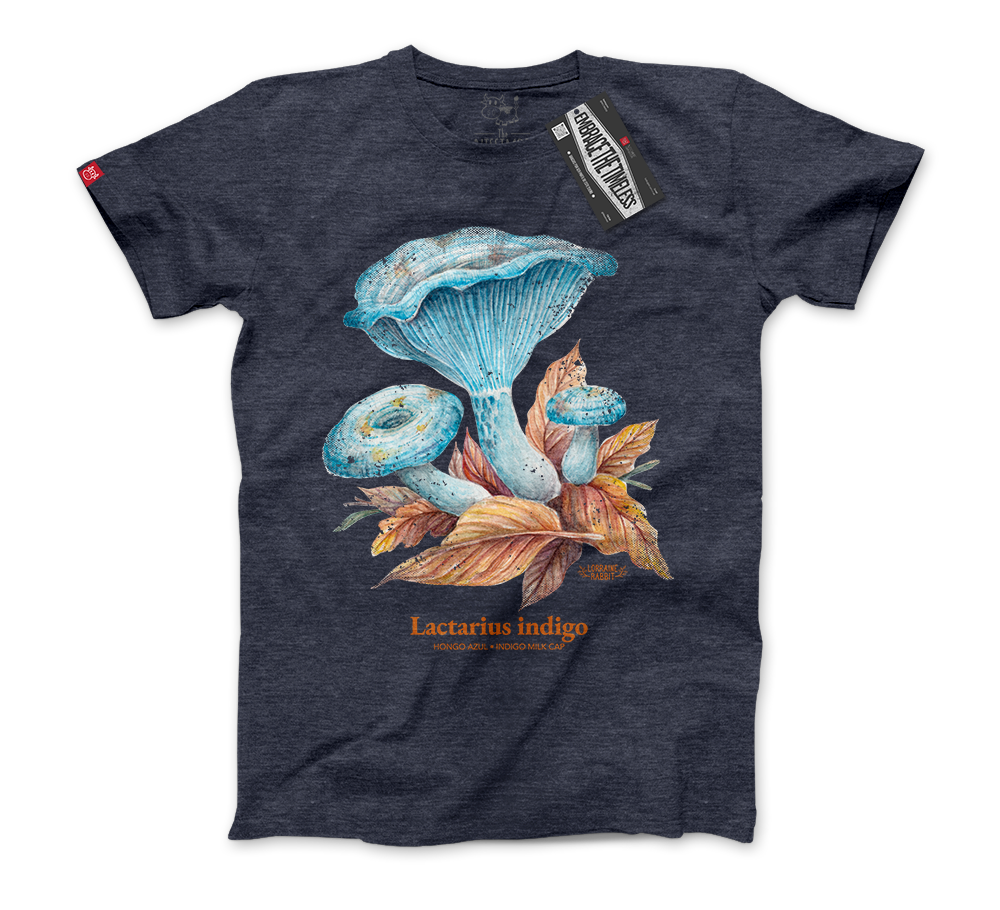 LORRAINE RABBIT - Hongo Lactarius Indigo