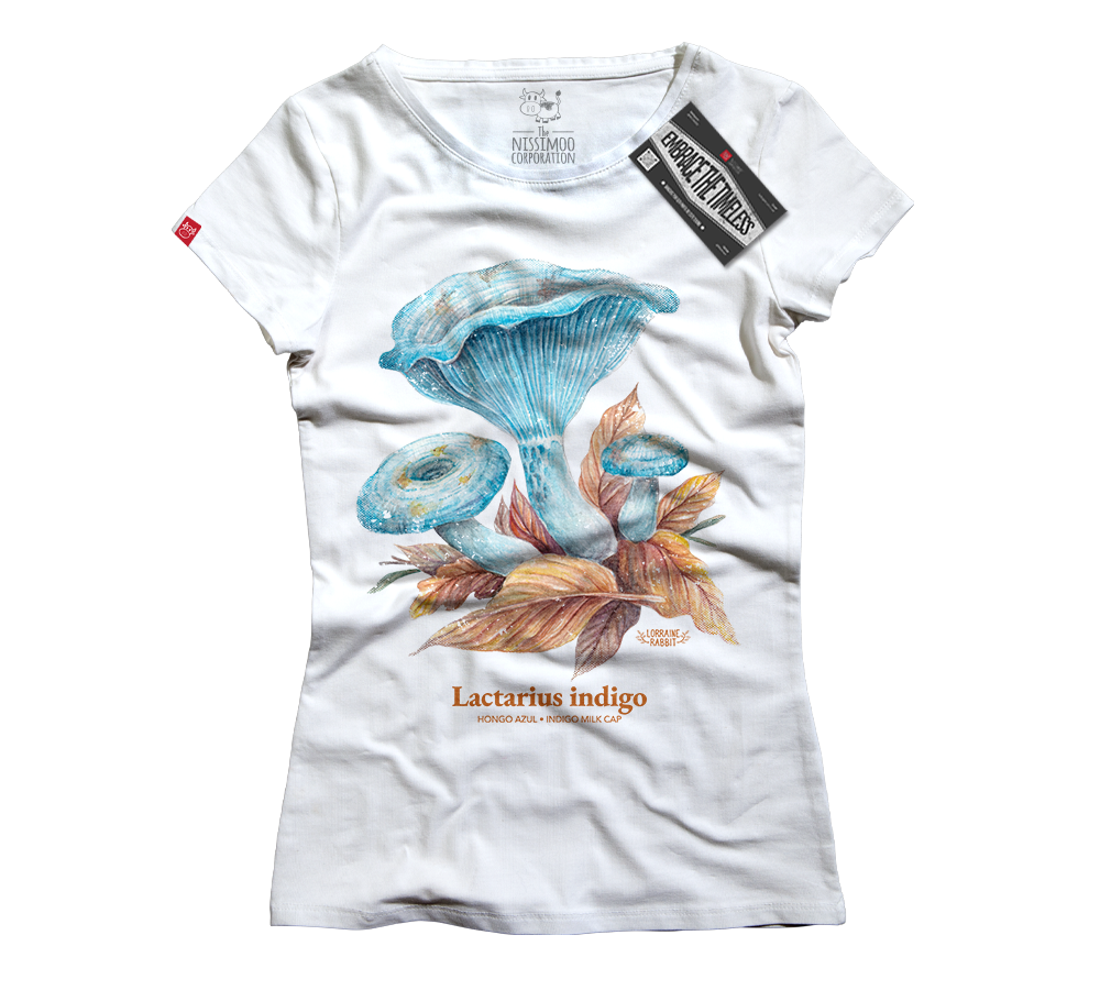 LORRAINE RABBIT - Hongo Lactarius Indigo