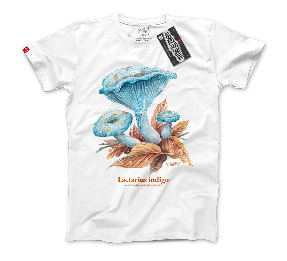 LORRAINE RABBIT - Hongo Lactarius Indigo