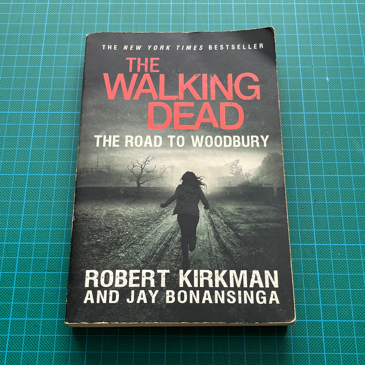 The Walking Dead - The Road to Woodbury | Libro