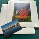 Pink Floyd - Wish you Were Here Vinyl LP | Música
