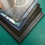 Pink Floyd - Pulse Box Set Vinyl LP | Música