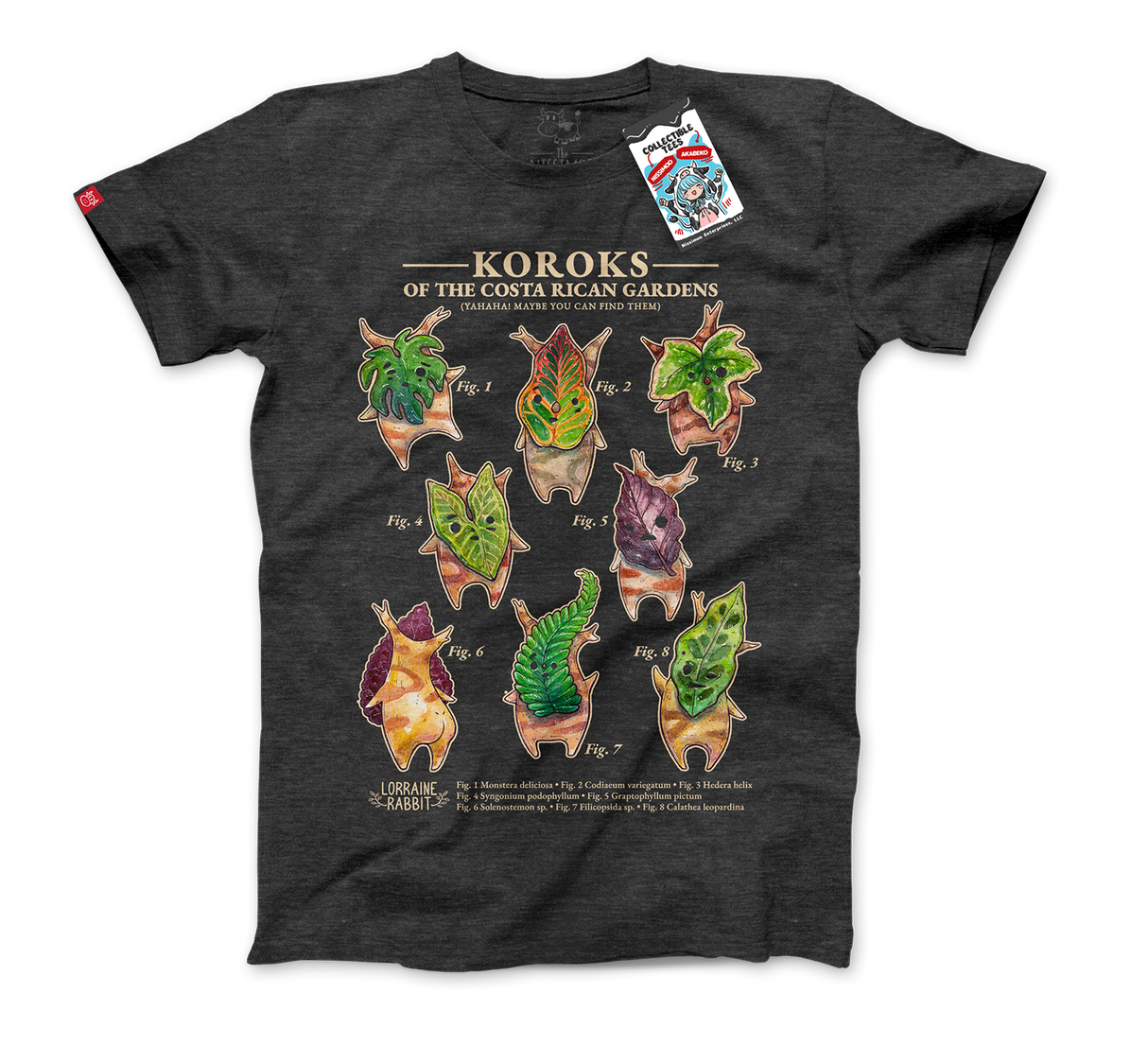 LORRAINE RABBIT - Koroks de Costa Rica