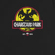 Charizard Park / Women's Relaxed T-Shirt - Nissimoo Corporation - Vintage t-shirts - 90s fashion - retro style