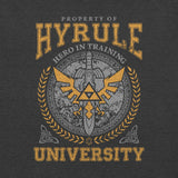 Hyrule University / Unisex t-shirt - Nissimoo Corporation - Vintage t-shirts - 90s fashion - retro style