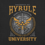 Hyrule University / Unisex t-shirt - Nissimoo Corporation - Vintage t-shirts - 90s fashion - retro style